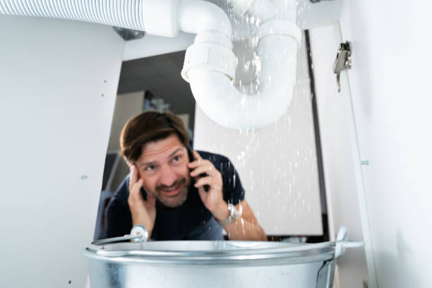 Best Residential Plumbing Services  in Tecumseh, MI