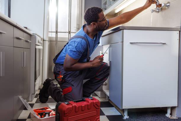 Best Same-Day Plumbing Service  in Tecumseh, MI